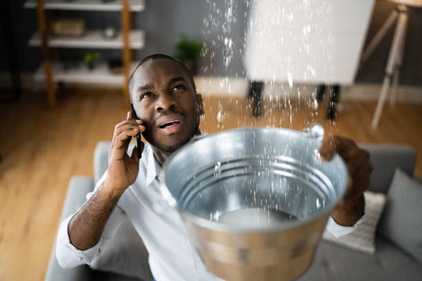 Best Water damage contractors near me  in Port Labelle, FL