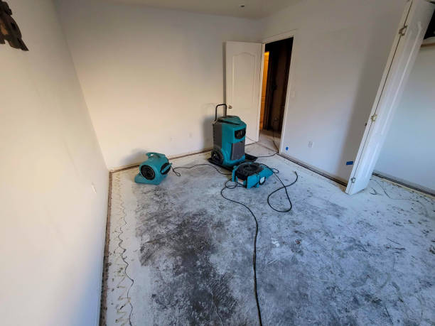 Best Residential water damage restoration  in Port Labelle, FL