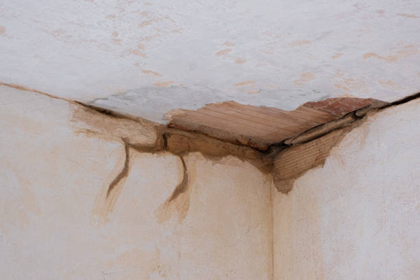 Best Fire Damage Restoration  in Port Labelle, FL