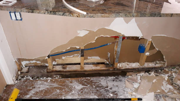 Best Flood damage cleanup  in Port Labelle, FL