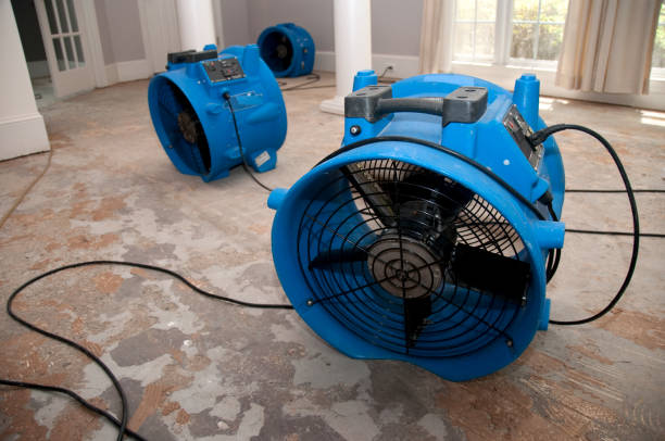 Best Water damage contractors near me  in Port Labelle, FL