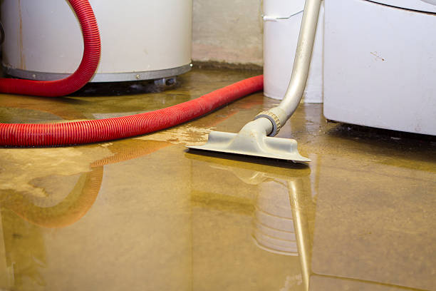 Best Flood damage cleanup  in Port Labelle, FL