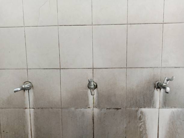 Best Professional water damage repair  in Port Labelle, FL
