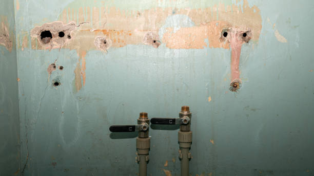  Port Labelle, FL Water damage restoration Pros