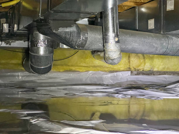 Best Water damage restoration process  in Port Labelle, FL