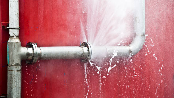 Best Local water damage restoration  in Port Labelle, FL